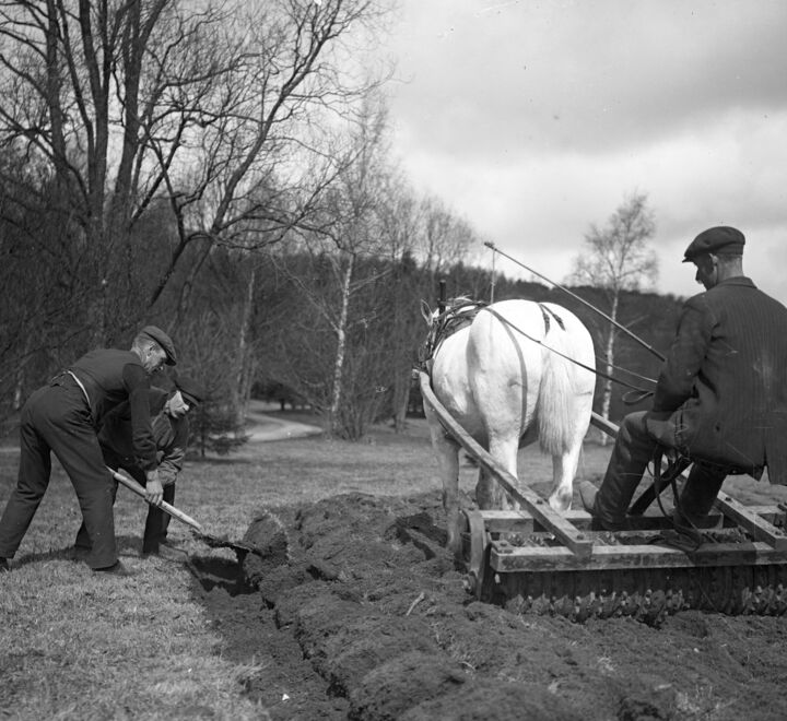 I løpet av 1918 ville Norge være helt avhengig av kornleveranser for å unngå hungersnød. Her fra et gårdsbruk i 1917. (Foto: Kamerareportage/TT).