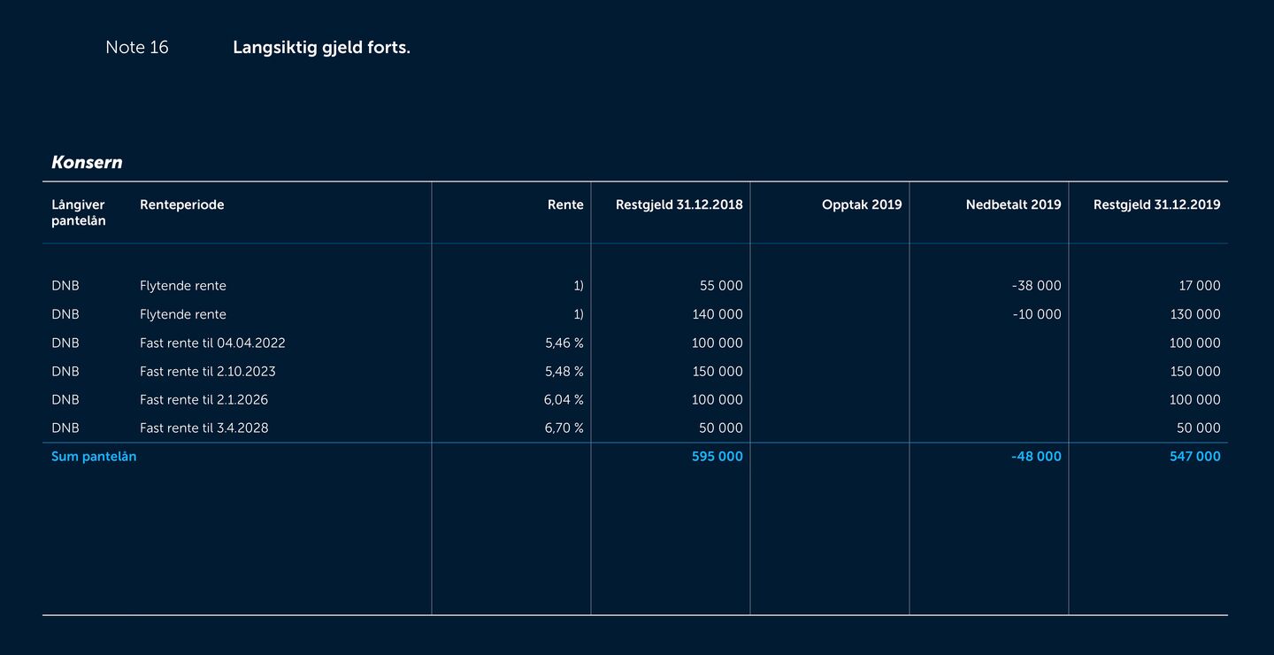 Skjermbilde av noter fra årsregnskapet 2019