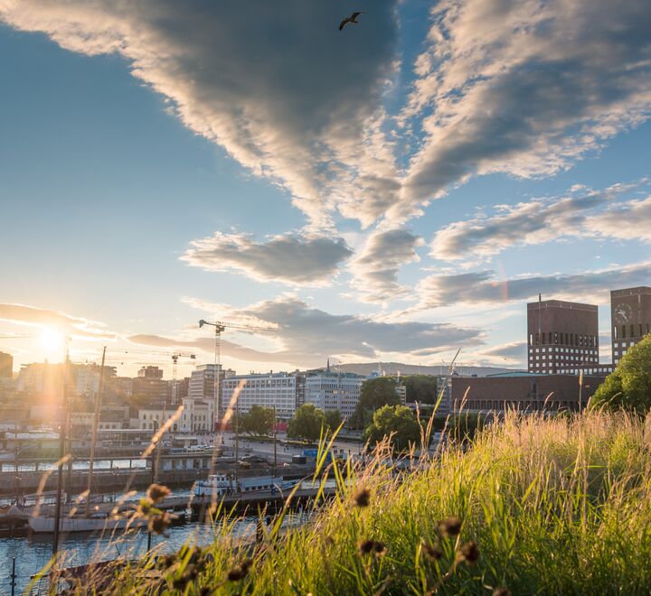 International Student Perspective: Study in Norway