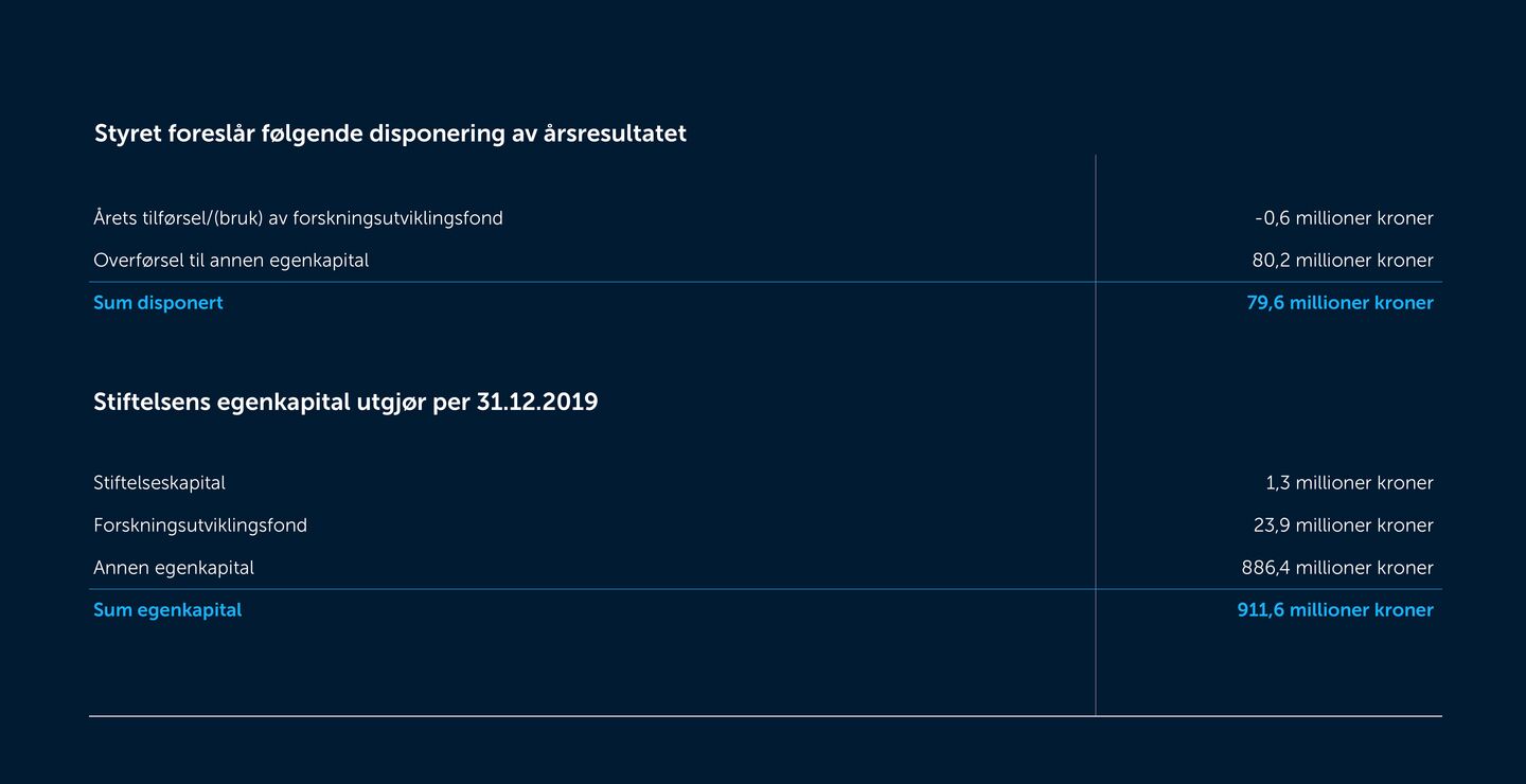 Skjermbilde av årsresultatet 2019