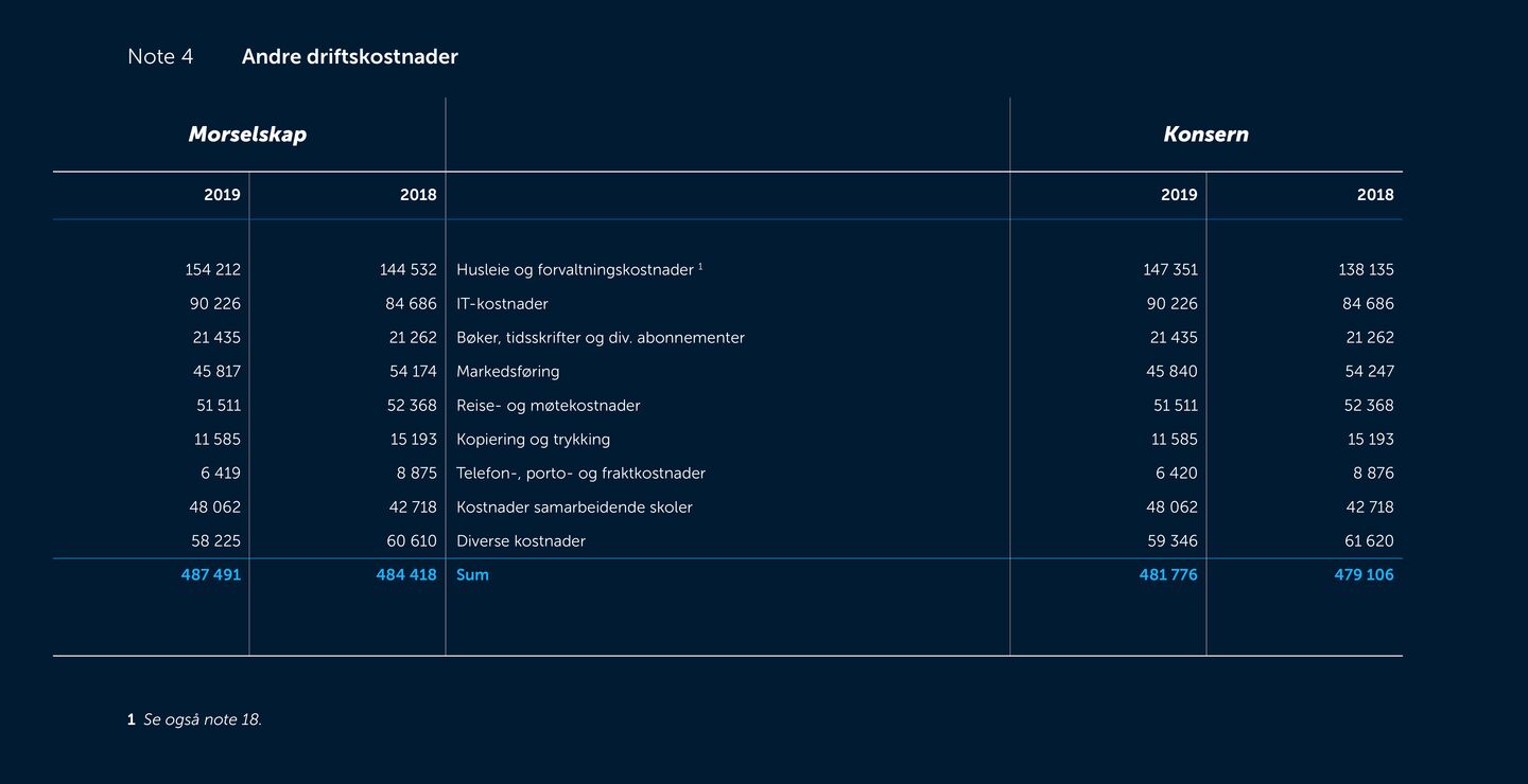 Skjermbilde av noter fra årsregnskapet 2019