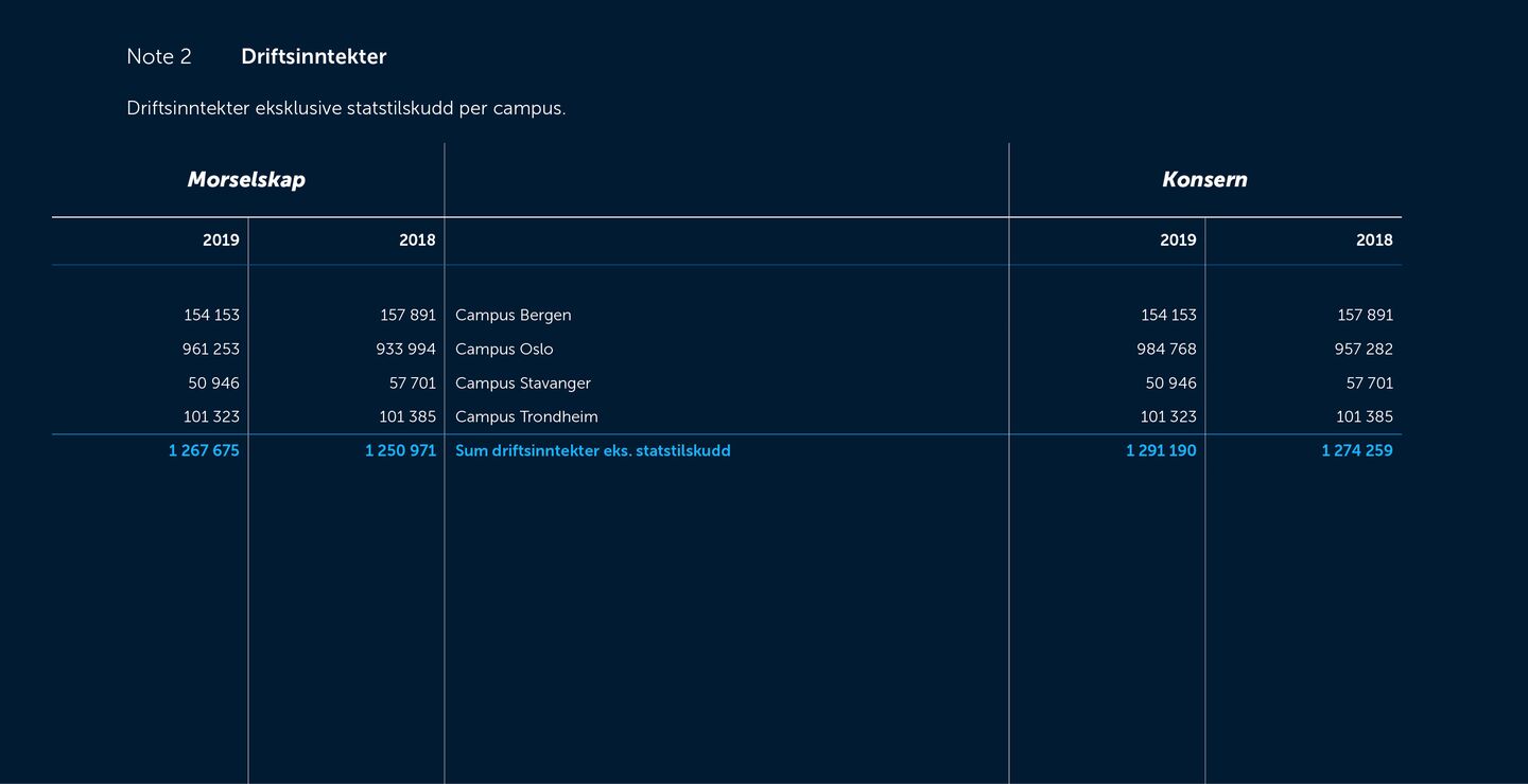 Skjermbilde av noter fra årsregnskapet 2019