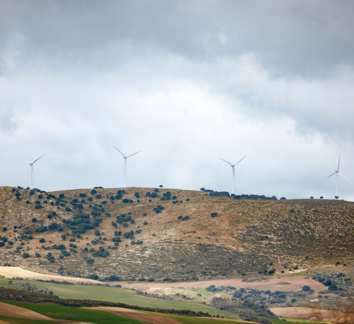 Overview of a wind farm