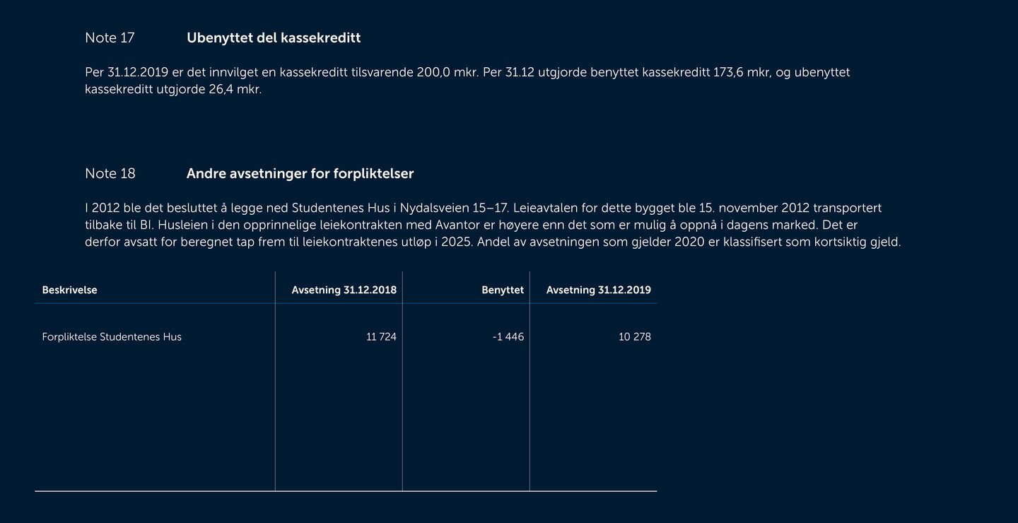 Skjermbilde av noter fra årsregnskapet 2019