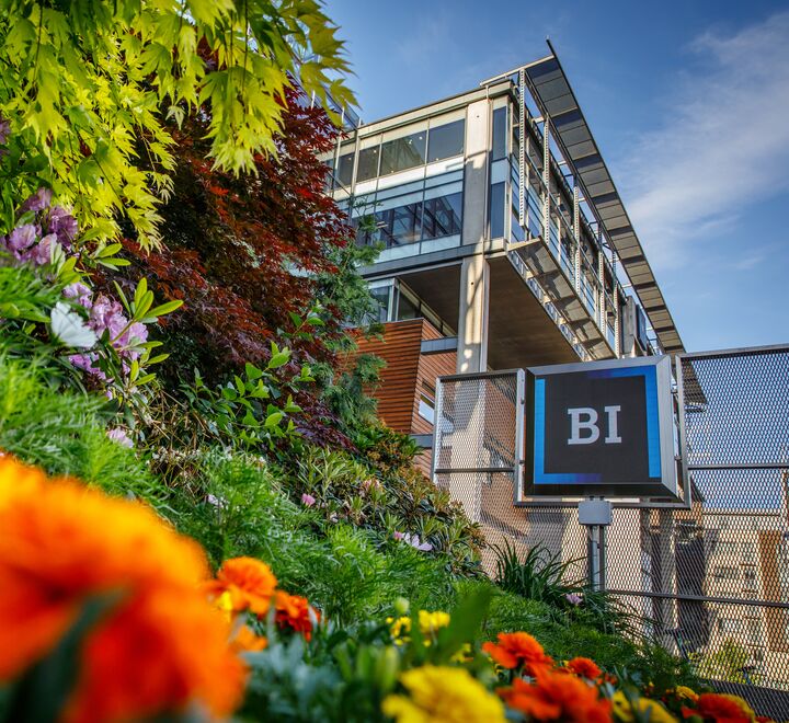 Utenfor campus Oslo. Bilde av blomster foran BI-logoen.