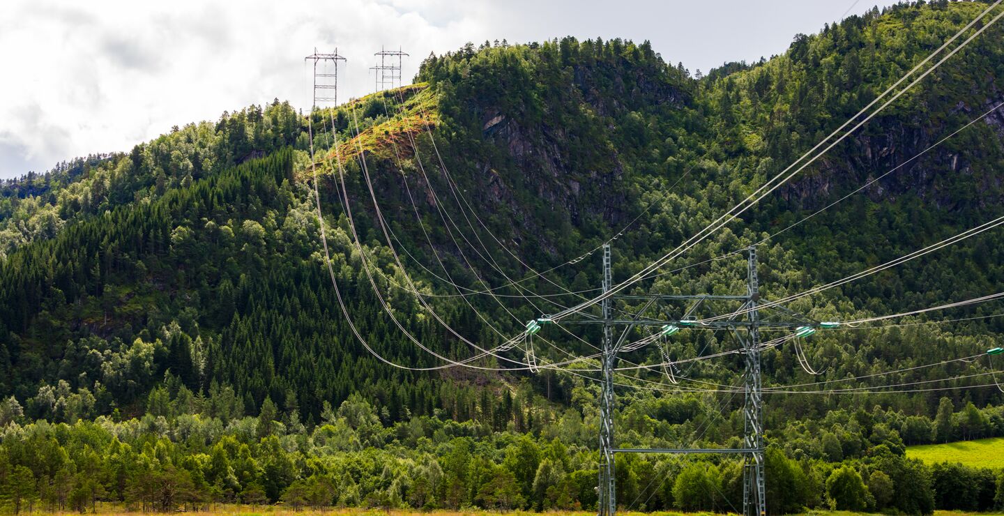 Strømmaster i norsk natur.