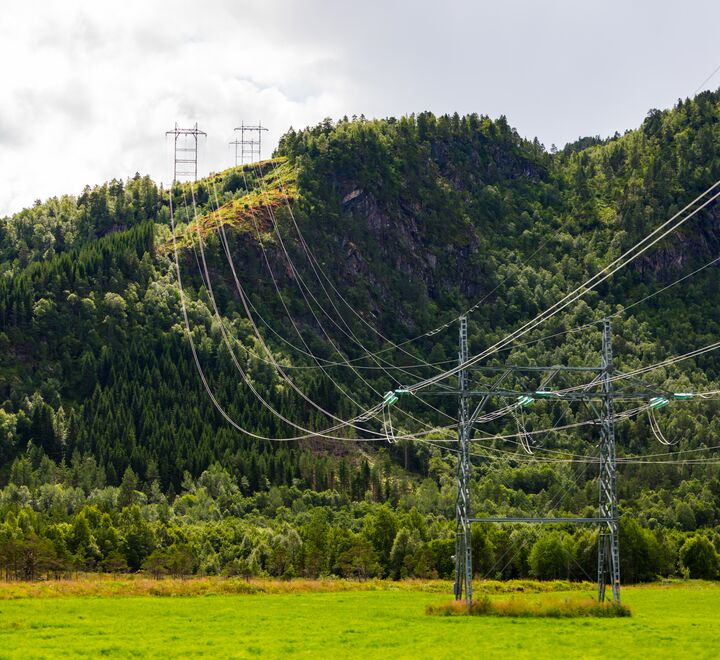 Strømmaster i norsk natur.