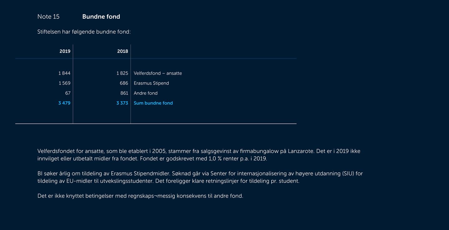 Skjermbilde av noter fra årsregnskapet 2019