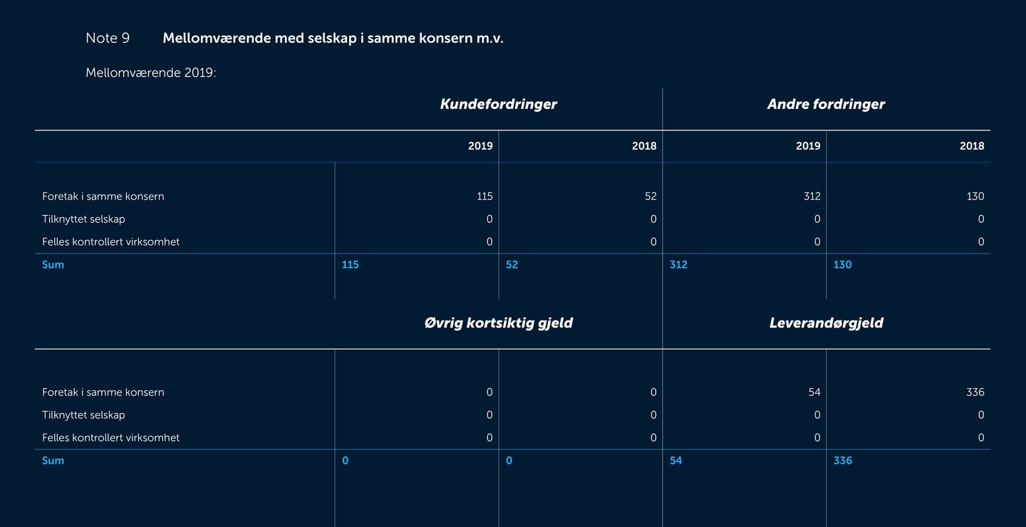 Skjermbilde av noter fra årsregnskapet 2019
