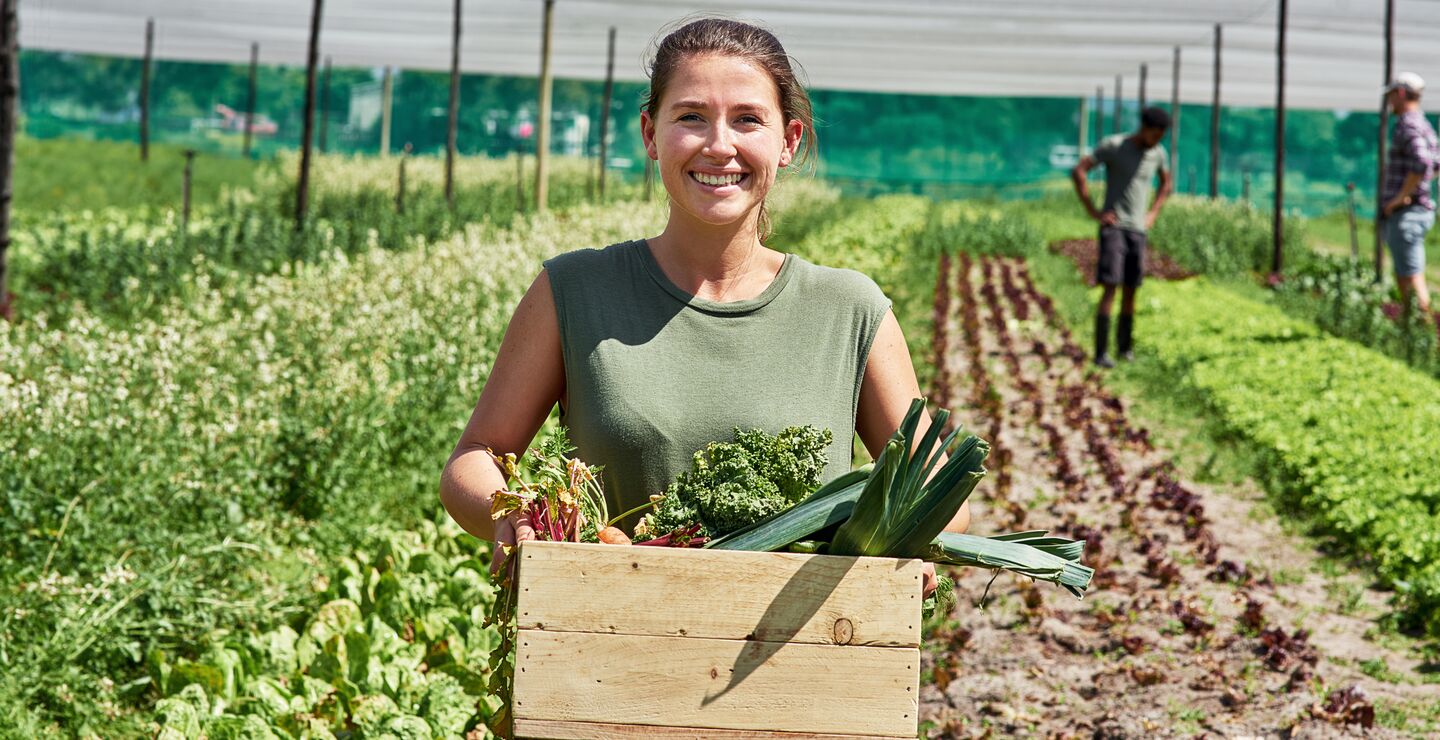 Kvinne som bærer kasse med grønnsaker på et jorde