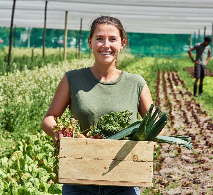 Kvinne som bærer kasse med grønnsaker på et jorde