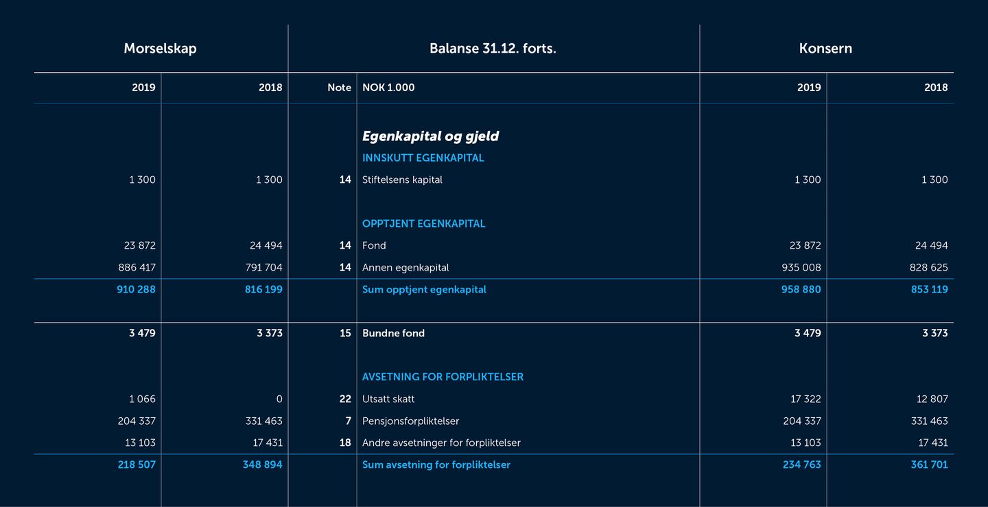 Skjermbilde av balanseregnskapet fra 2019