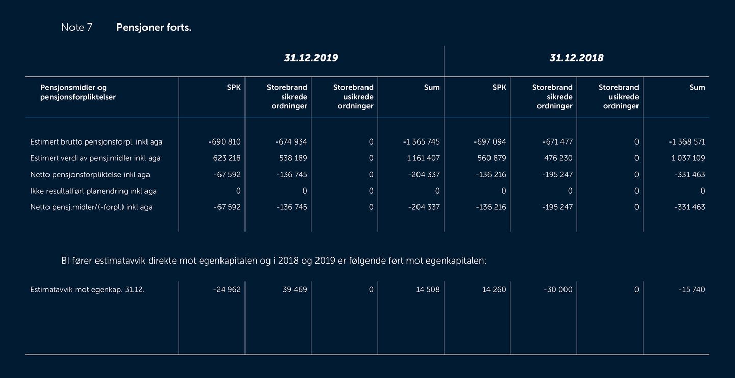 Skjermbilde av noter fra årsregnskapet 2019