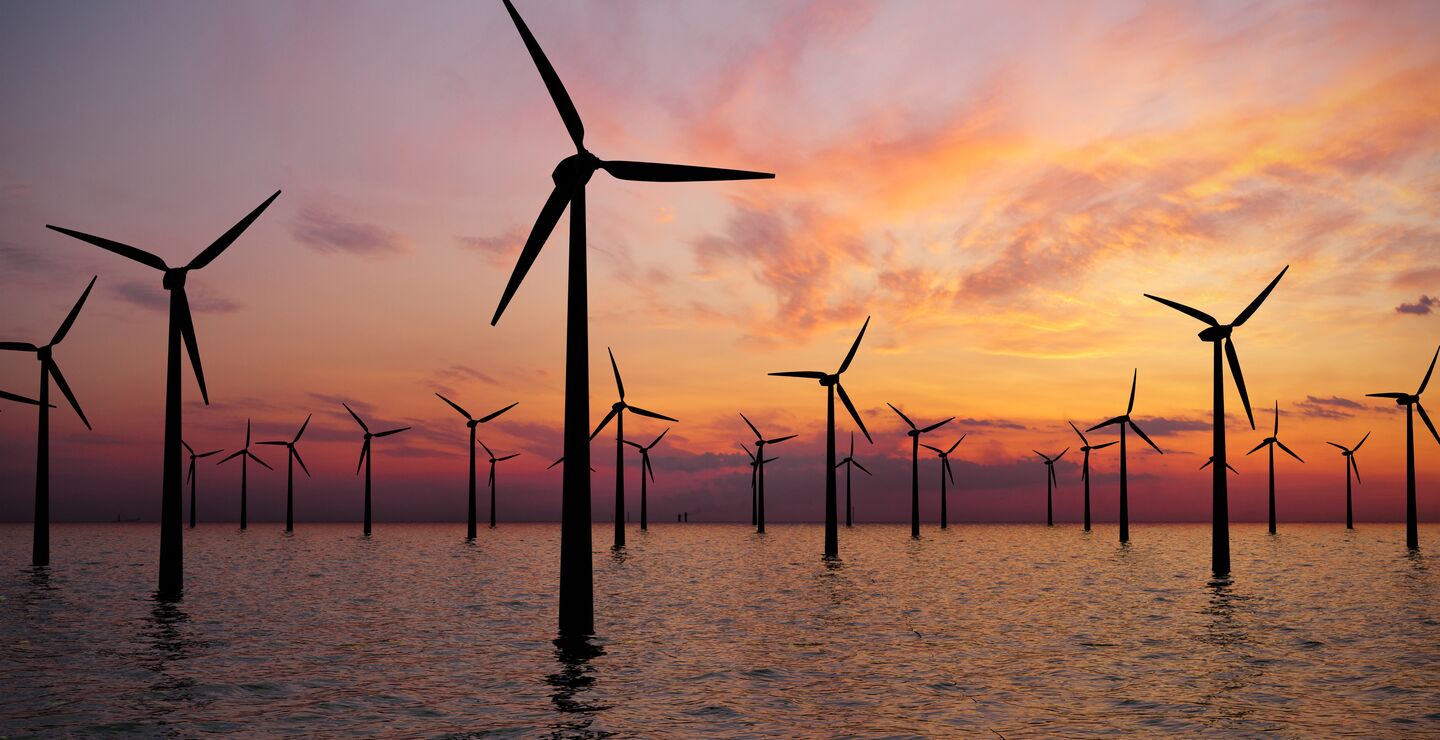 Sustainability and efficiency in Business