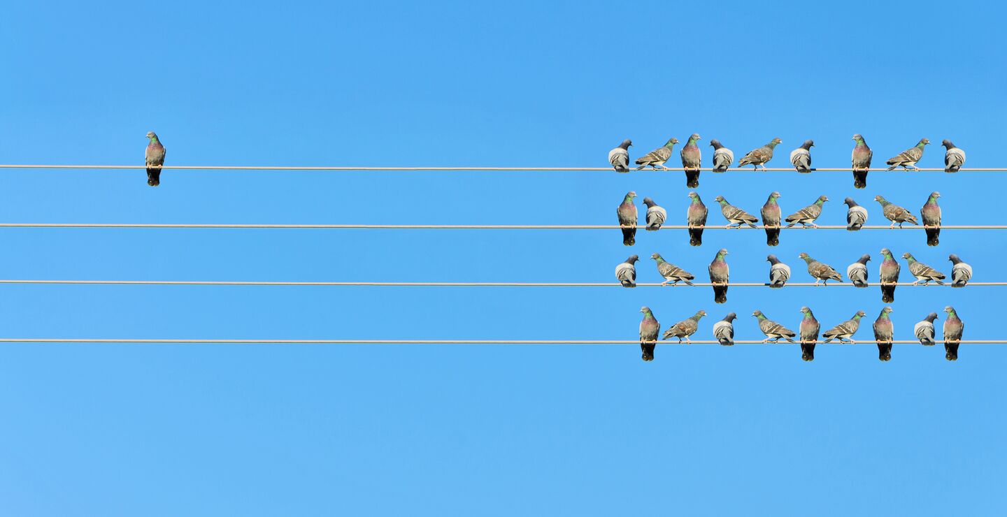 En ensom fugl på en strømlinje, noen meter unna en flokk med fugler.