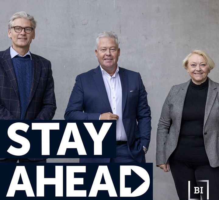 Thomas Borgen, Helge Leiro and Ragnhild Kvålshaugen