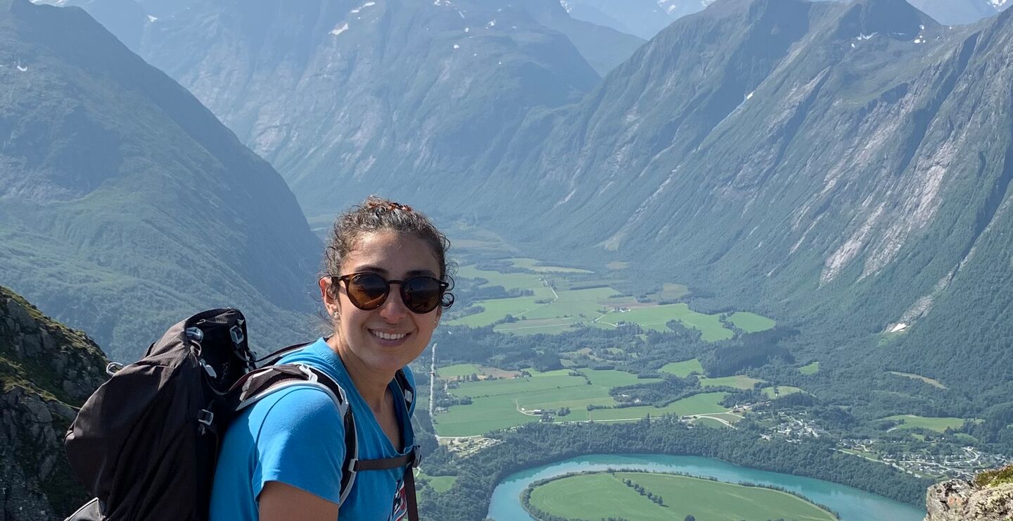 Image of  Marjan Movafagh