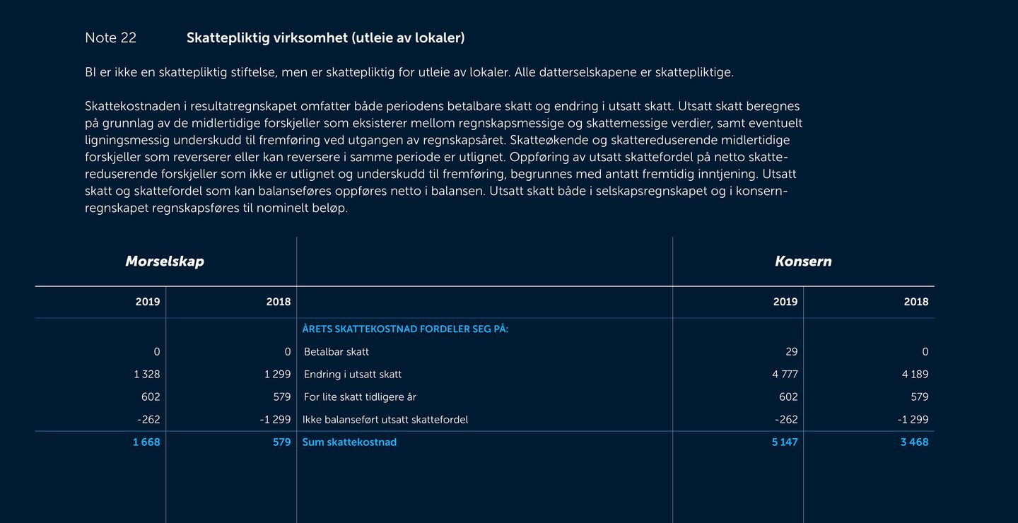 Skjermbilde av noter fra årsregnskapet 2019