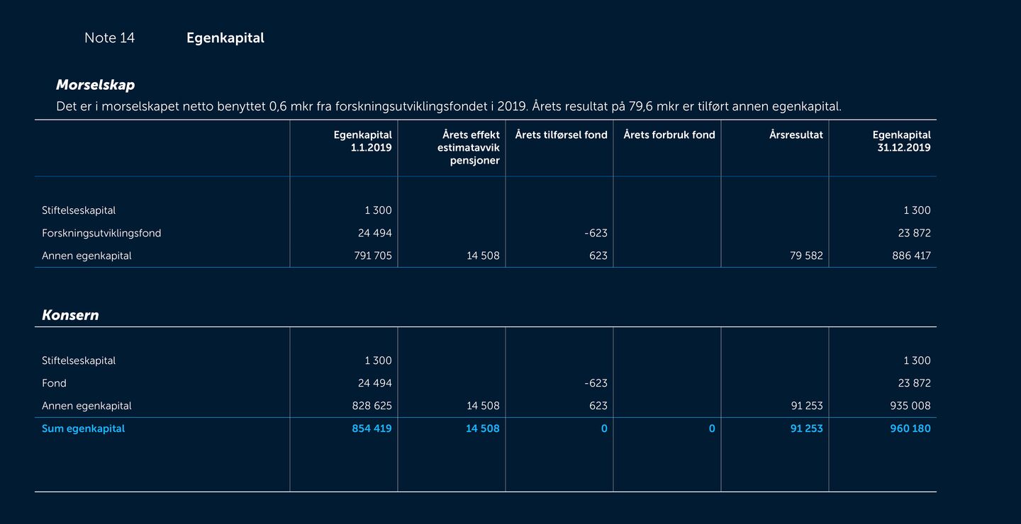 Skjermbilde av noter fra årsregnskapet 2019