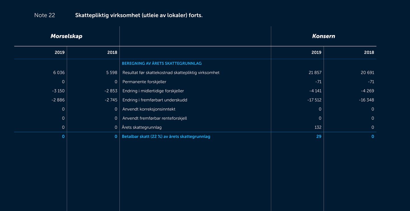 Skjermbilde av noter fra årsregnskapet 2019