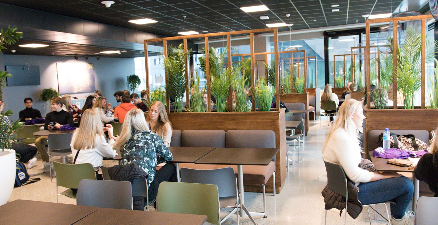 Studiestart Stavanger  2