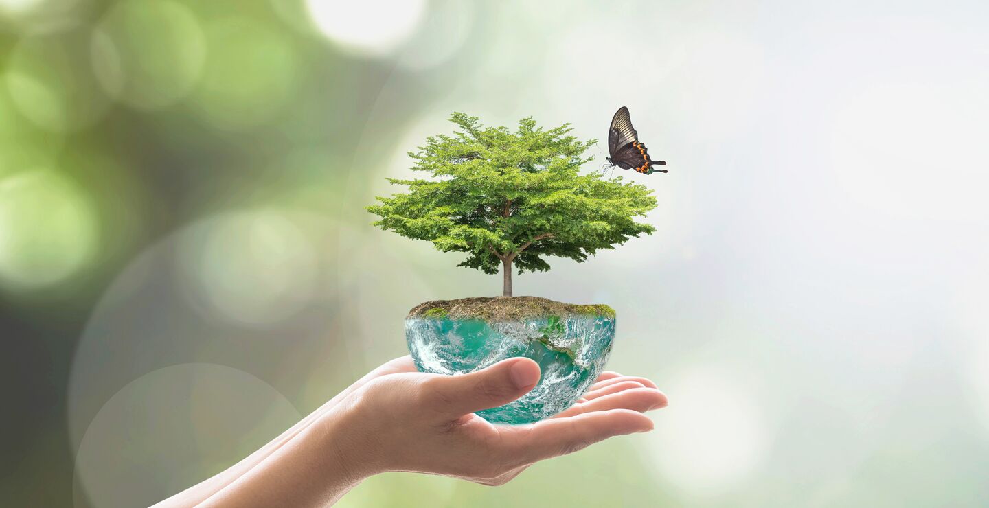 Organisasjoner med ledere som viser omsorg og legger til rette for at ansatte tar initiativ og  ansvar, har gode sjanser til å lykkes med endringer mot bærekraft.