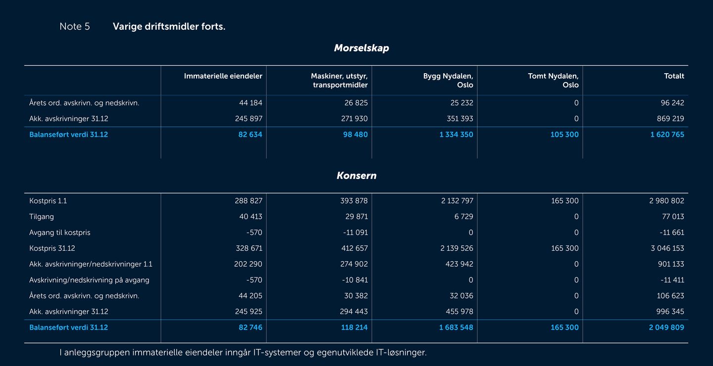 Skjermbilde av noter fra årsregnskapet 2019