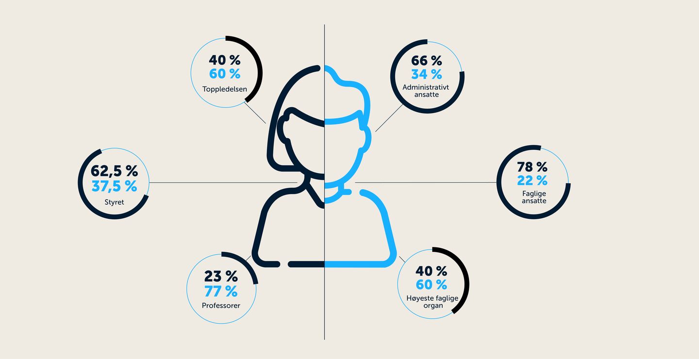 Grafisk framstilling av kjønnsfordelingen på BI fra 2019