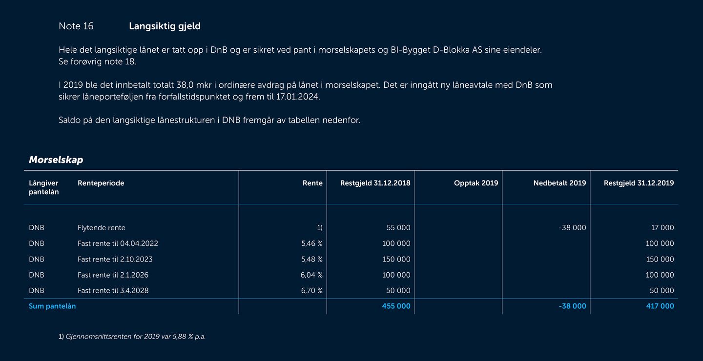 Skjermbilde av noter fra årsregnskapet 2019