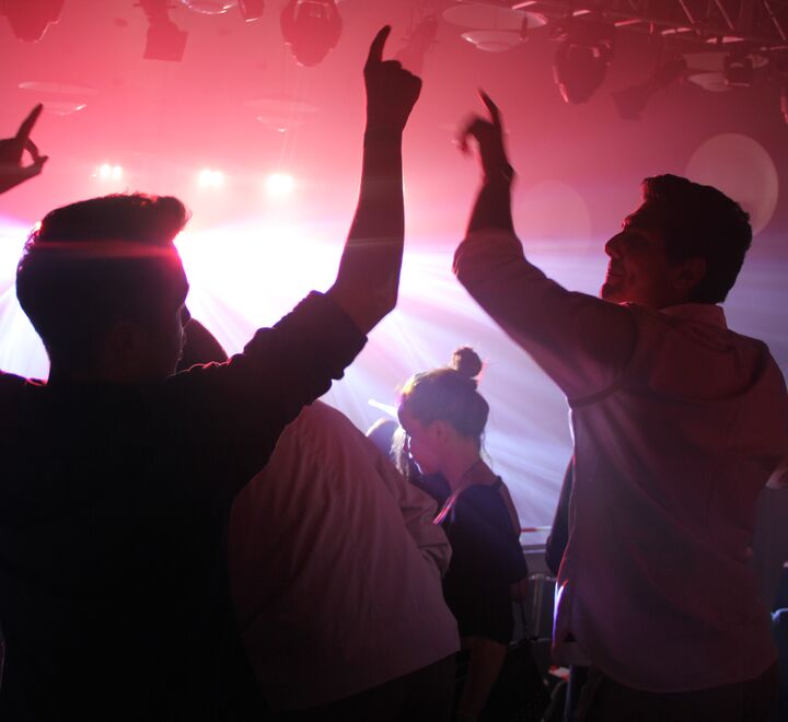 Mennesker på konsert