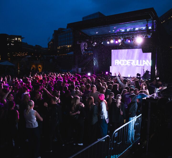 Concert during an event in the Buddy week