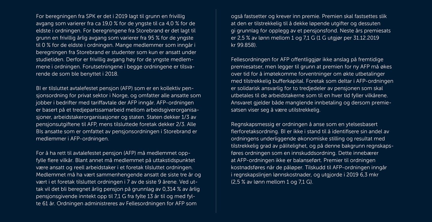 Skjermbilde av noter fra årsregnskapet 2019