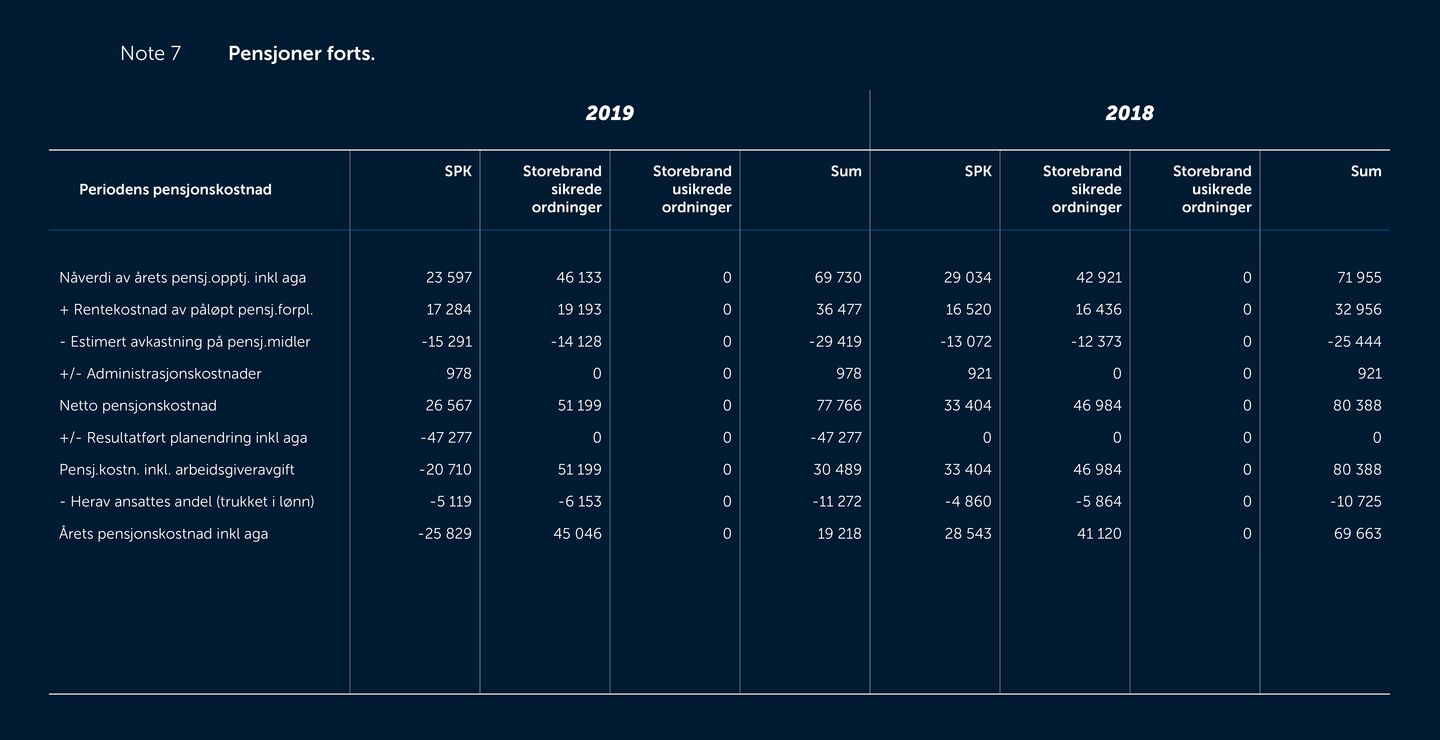 Skjermbilde av noter fra årsregnskapet 2019