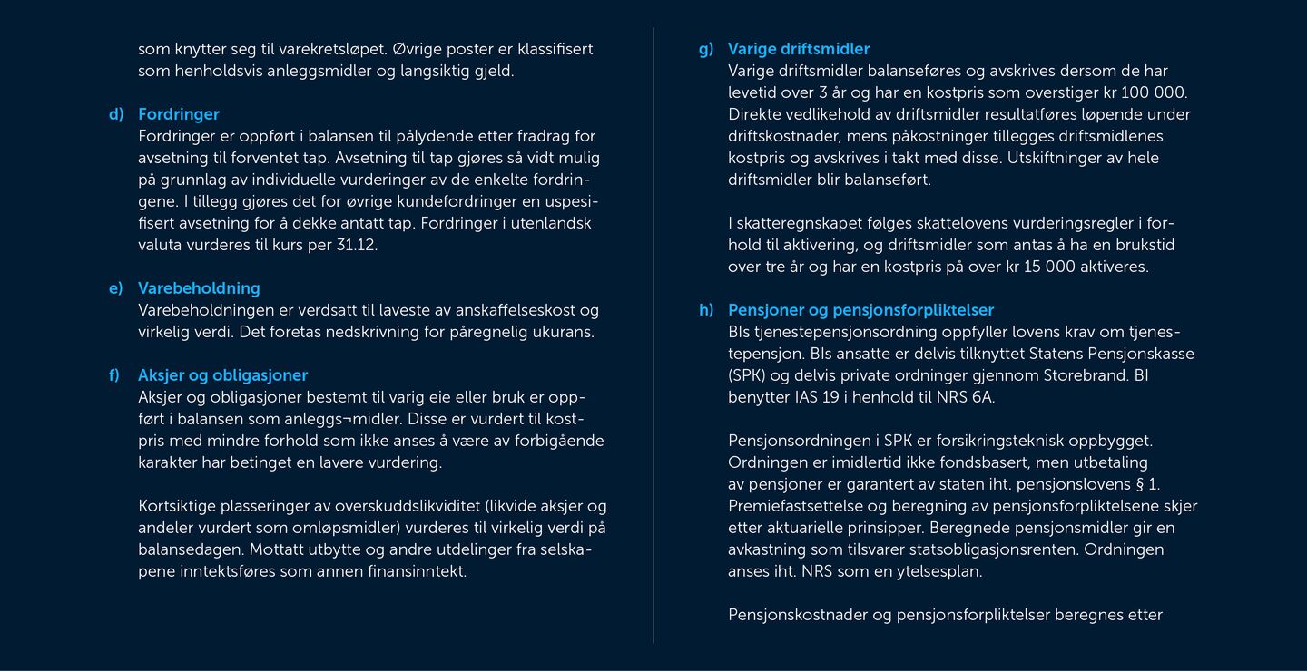 Skjermbilde av noter fra årsregnskapet 2019