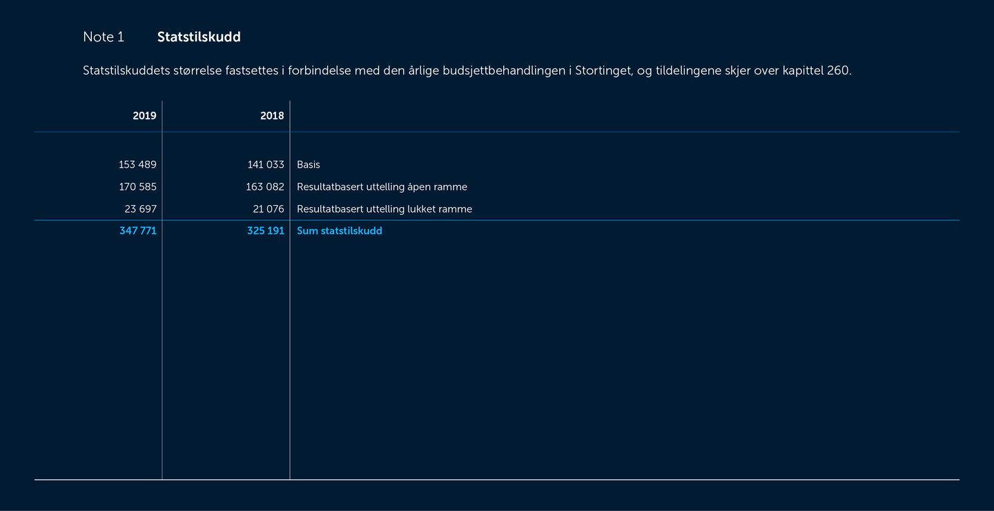 Skjermbilde av noter fra årsregnskapet 2019