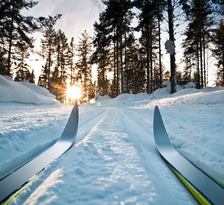 Cross-country in nature