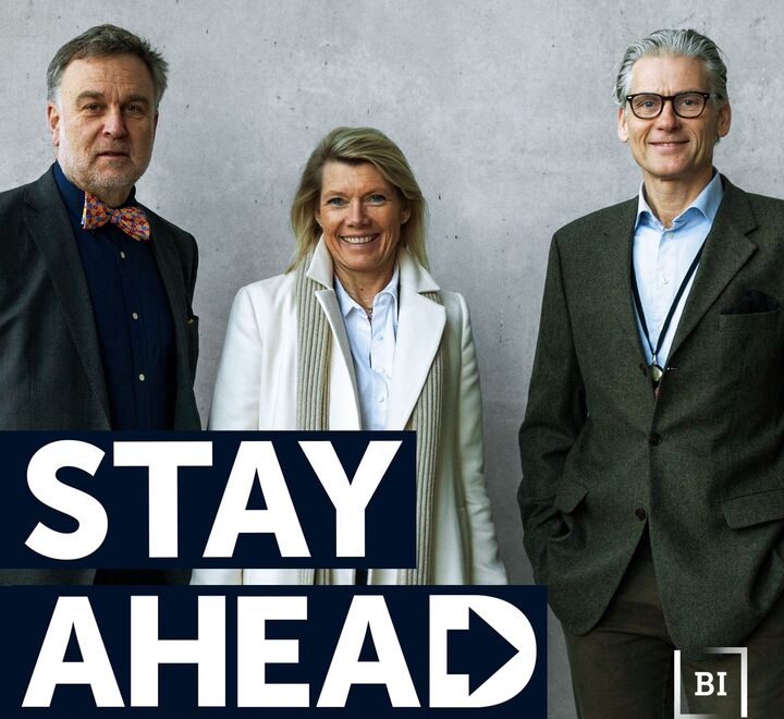 Espen Andersen, Kjersti Braaten and Thomas Borgen