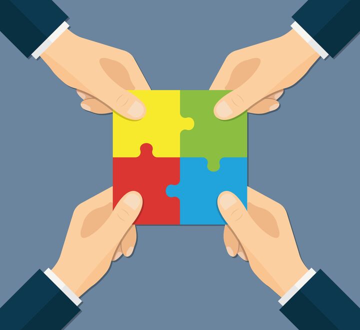 CEOs prefer alliances to acquisitions to expand their company’s product, geographic, and customer reach, writes Tuba Yilmas.