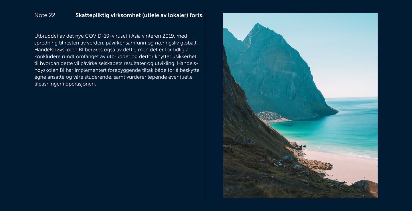 Skjermbilde av noter fra årsregnskapet 2019