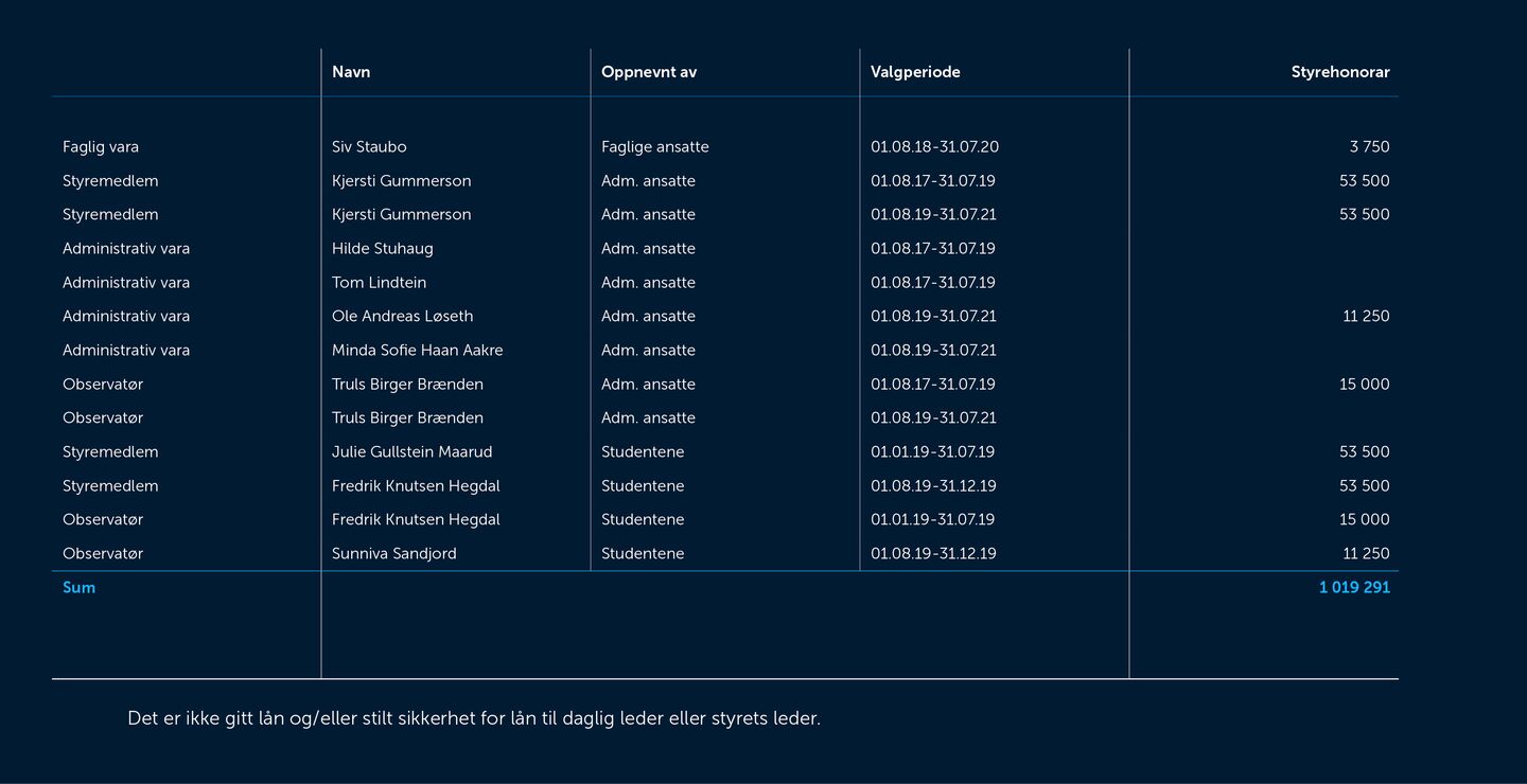 Skjermbilde av noter fra årsregnskapet 2019