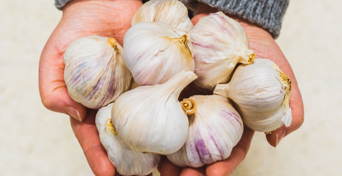 Kan hvitløk og andre kjerringråd hjelpe mot covid-19?