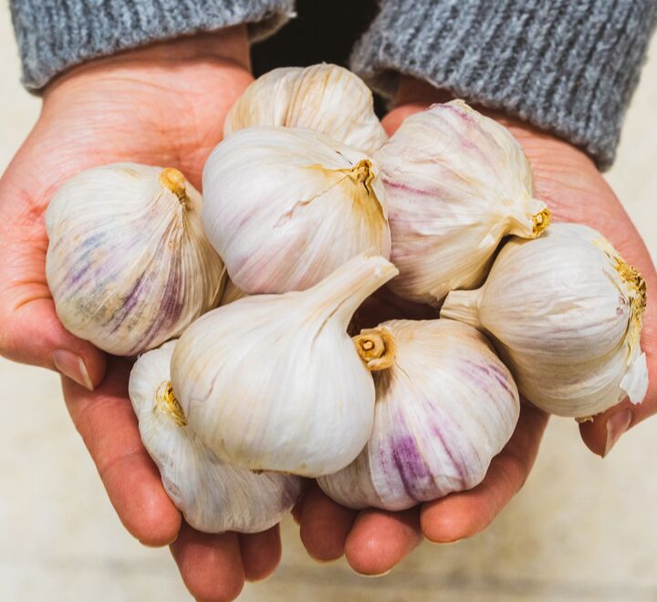 Kan hvitløk og andre kjerringråd hjelpe mot covid-19?