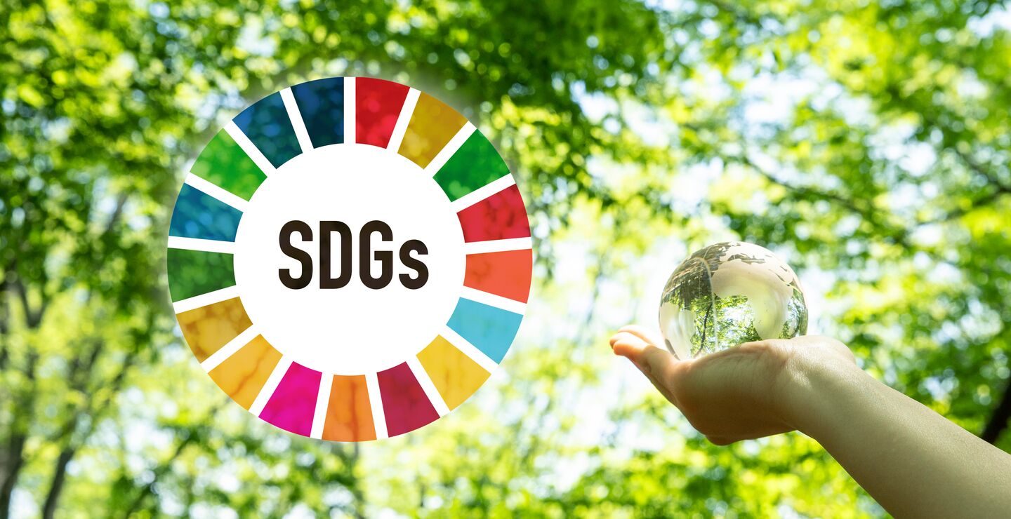 Bærekraft må snarest inn som et reelt strategisk fundament i virksomheten og da danne grunnlaget for virksomhetens forretningsmodell og strategiske retning fremover, skriver Frode Solberg.  (Foto: Yuuki Mizoguchi).