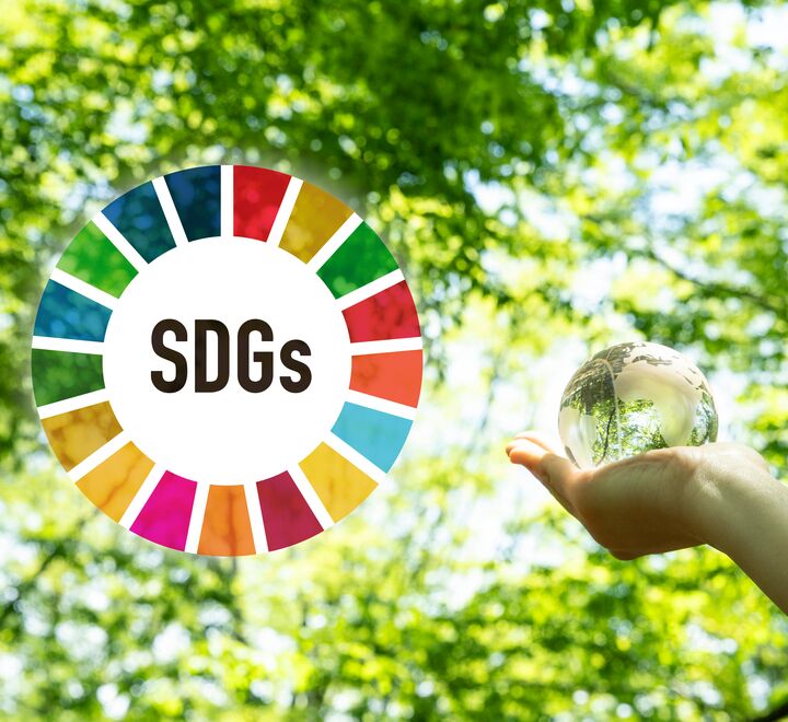 Bærekraft må snarest inn som et reelt strategisk fundament i virksomheten og da danne grunnlaget for virksomhetens forretningsmodell og strategiske retning fremover, skriver Frode Solberg.  (Foto: Yuuki Mizoguchi).