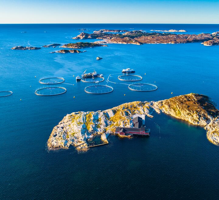 Oppdrettsanlegg i Hardanger