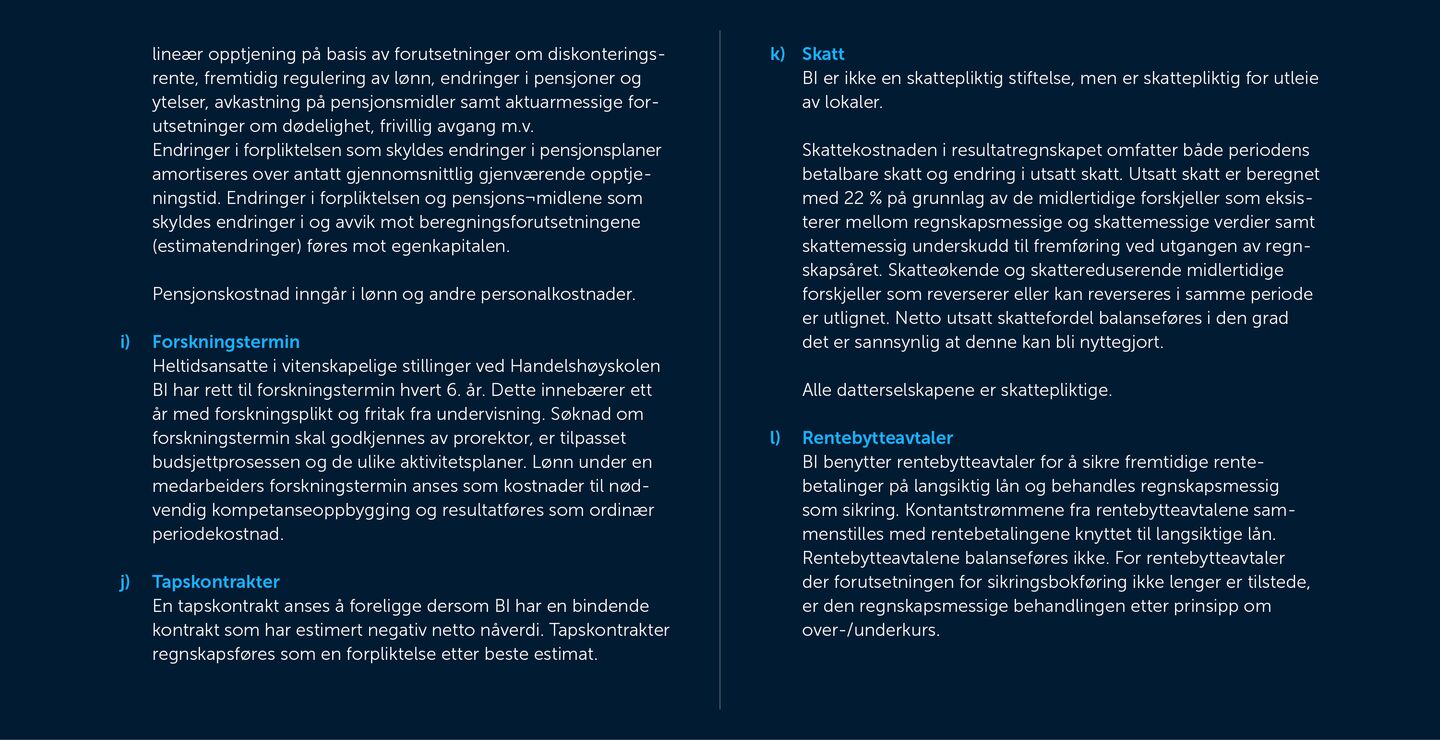 Skjermbilde av noter fra årsregnskapet 2019