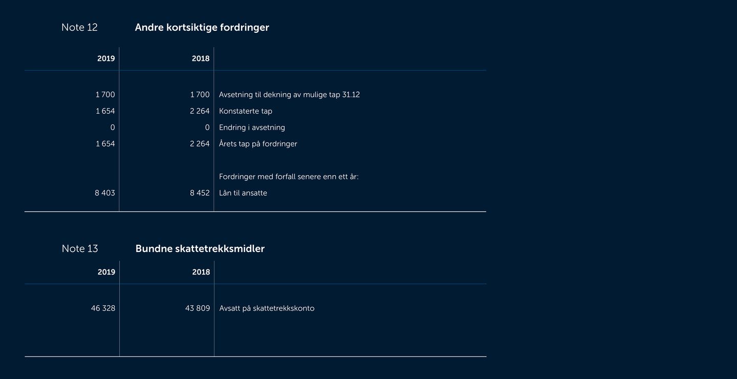 Skjermbilde av noter fra årsregnskapet 2019