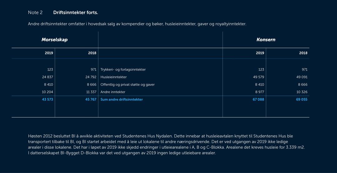 Skjermbilde av noter fra årsregnskapet 2019