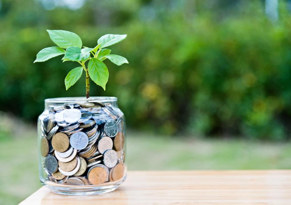 Plante som gror ut av et glass med mynter.