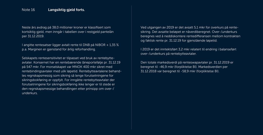 Skjermbilde av noter fra årsregnskapet 2019